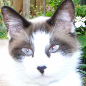 Meet your Posher, Elaine